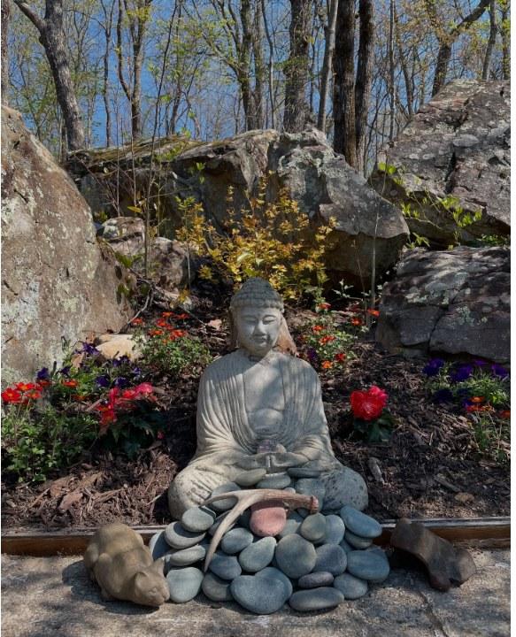 Stone garden at Stone Nest Dojo